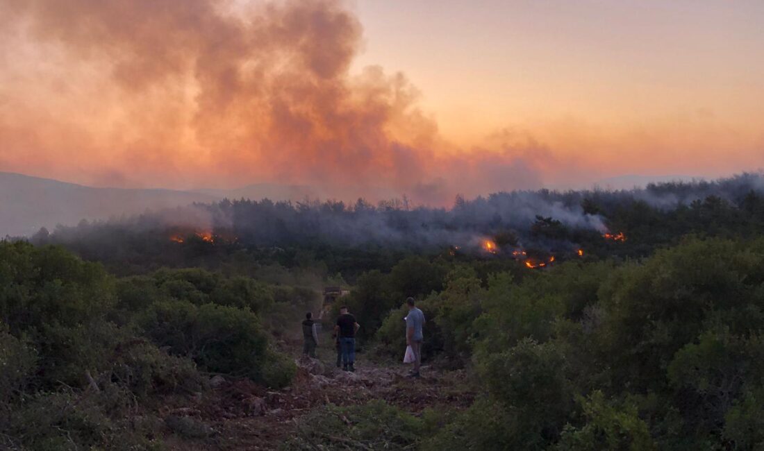 İzmir’in Urla ilçesinde ormanlık alanda başlayan ve rüzgârın da etkisiyle
