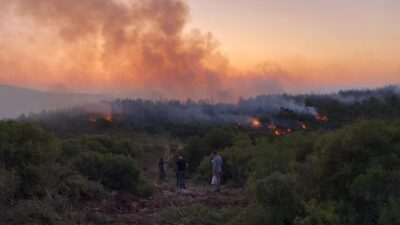 Urla’da Yangın Kontrol Altına Alındı İzmir’in Urla ilçesinde ormanlık alanda başlayan ve rüzgârın da etkisiyle