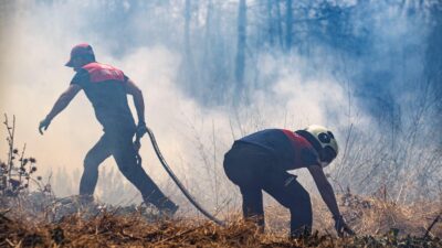 İzmir Büyükşehir Belediyesi İtfaiye Dairesi Başkanlığı ekipleri, bugün iki ilçede
