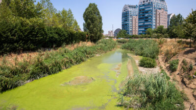 Bursa Büyükşehir Belediyesi, daha yaşanabilir bir kent ve daha sağlıklı