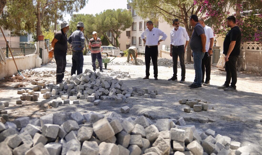 150 Evler Mahallesi’nde eş zamanlı olarak 4 ayrı ekiple sürdürülen