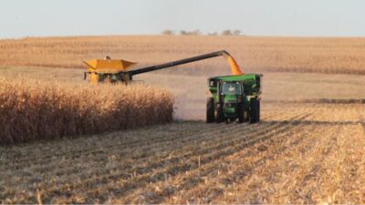 Orhan Sümer: Mısır İthalatıyla Yabancı Çiftçi Kazanıyor, Bizim Üreticimiz Borç Batağına Sürülüyor! CHP Adana Milletvekili Orhan Sümer, son Cumhurbaşkanı Kararı ile 31
