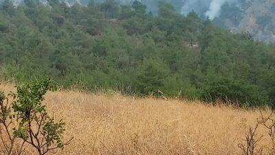 Eskişehir Büyükşehirden Bilecik’teki Orman Yangınlarına Destek Bilecik’in Selbükü Mahallesi’nde çıkan orman yangınlarına müdahale çalışmaları sürerken, Eskişehir