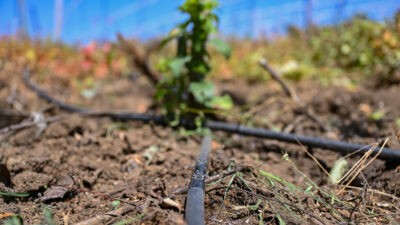 Mersin Büyükşehir’in Sulama Borusu Desteğiyle Üretici Susuz Kalmıyor Tarıma yönelik destekleri ile girdi maliyetlerinin altında ezilen çiftçiye destek