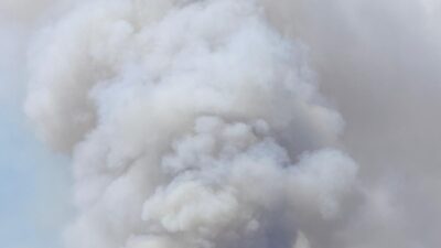 Eskişehir’in Seyitgazi ilçesinde 3 gündür devam eden orman yangını, bölgedeki