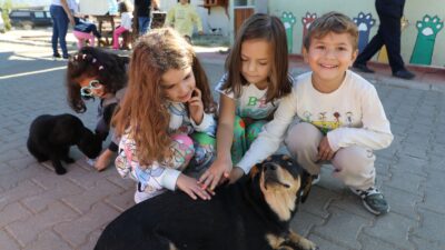 Büyükşehir Geçici Hayvan Bakımevi’nden 3 Bin 779 Can Dosta Yeni Yuva Türkiye’nin en donanımlı Geçici Hayvan Bakım Evleri’nden birini Muğla’ya kazandıran