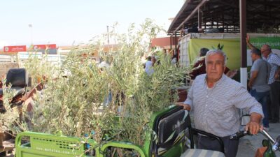 Antalya Büyükşehir’den 19 ilçeye 40 bin zeytin fidanı desteği Antalya Büyükşehir Belediyesi, kırsal kalkınma projeleri kapsamında 19 ilçede 2