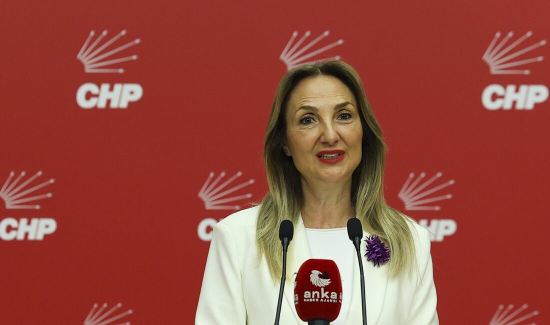 İşte Aylin Nazlıaka’nın basın açıklaması:   AKP’nin “Aile Yılı” müjdeleri