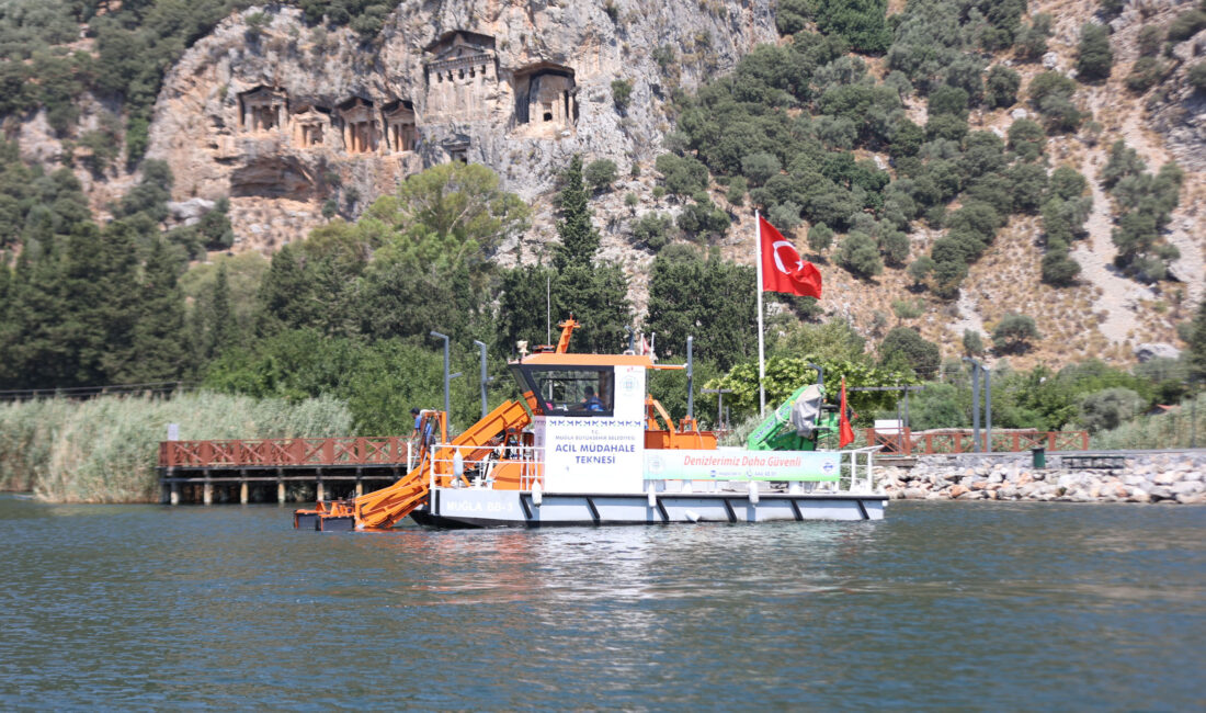 Muğla Büyükşehir Belediyesi, nesli tükenme tehlikesi altındaki Caretta caretta kaplumbağalarının