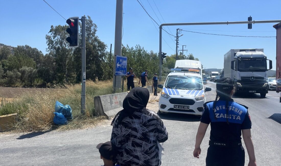 Muğla Büyükşehir Belediyesi Zabıta Dairesi Başkanlığı ekipleri, Milas-Bodrum karayolu üzerinde