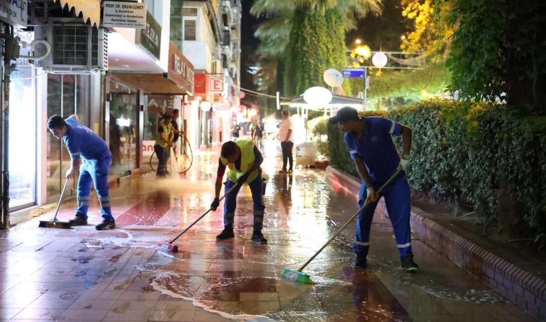 Aydın Büyükşehir Belediyesi, kent estetiğini ve halk sağlığını ön planda
