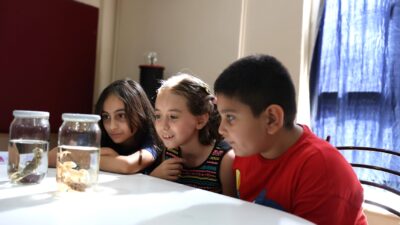 Aydın Büyükşehir Belediye Başkanı Özlem Çerçioğlu’nun çocuklara yönelik eğitim projeleri