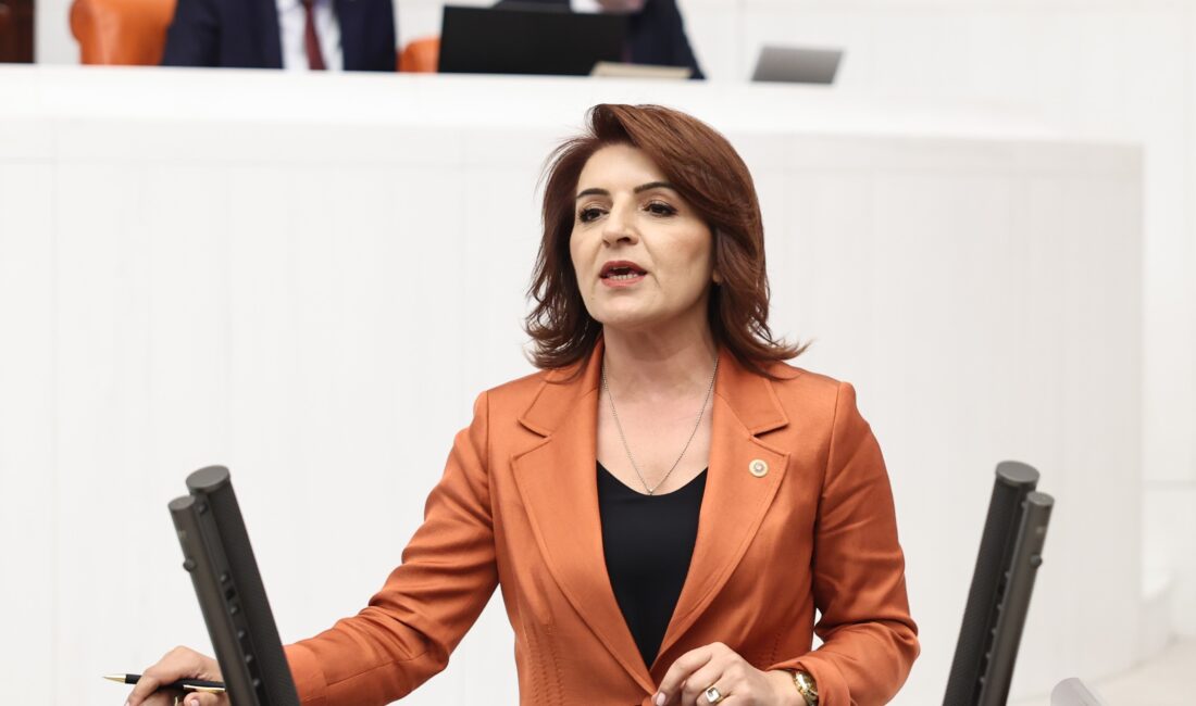 CHP Mersin Milletvekili Gülcan Kış, TBMM Genel Kurulu’nda görüşmeleri süren