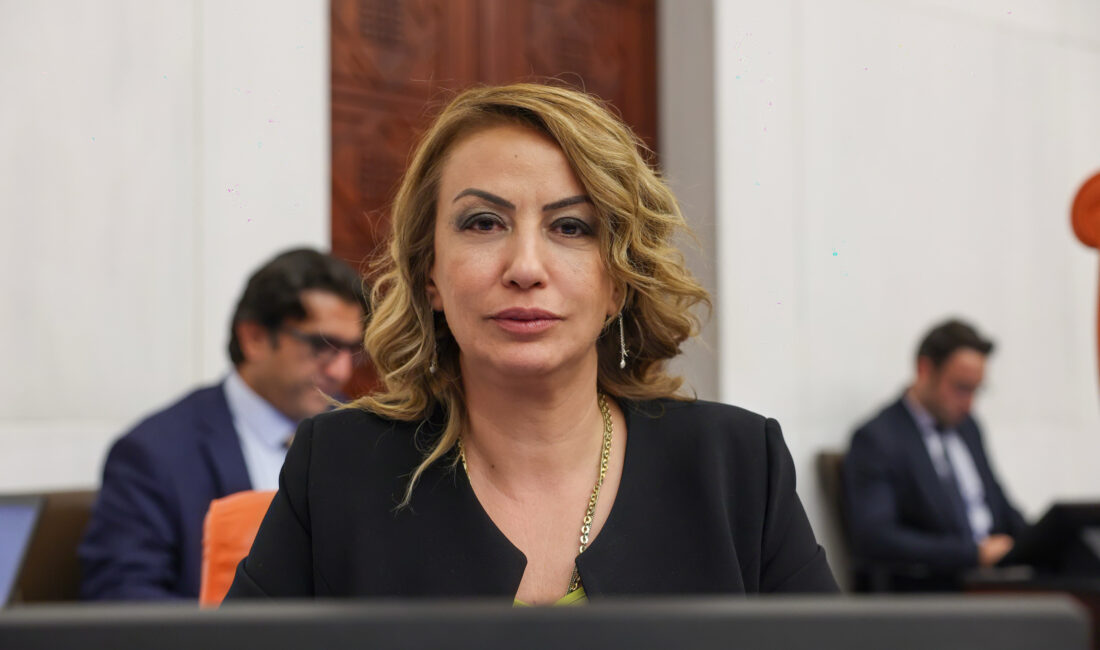 Cumhuriyet Halk Partisi Hatay Milletvekili ve TBMM Katip Üyesi Nermin