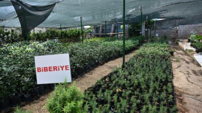 Mesut Kocagöz: “Kepez Üreten Bir Belediye” Kepez Belediye Başkanı Mesut Kocagöz, Atatürk Mahallesi’nde 8 bin 550