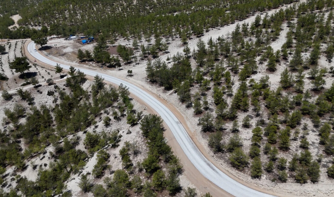 Mersin Büyükşehir Belediyesi Yol Yapım Bakım ve Onarım Dairesi Başkanlığı;