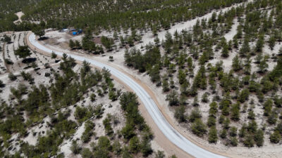 Mersin Büyükşehir Belediyesi Yol Yapım Bakım ve Onarım Dairesi Başkanlığı;