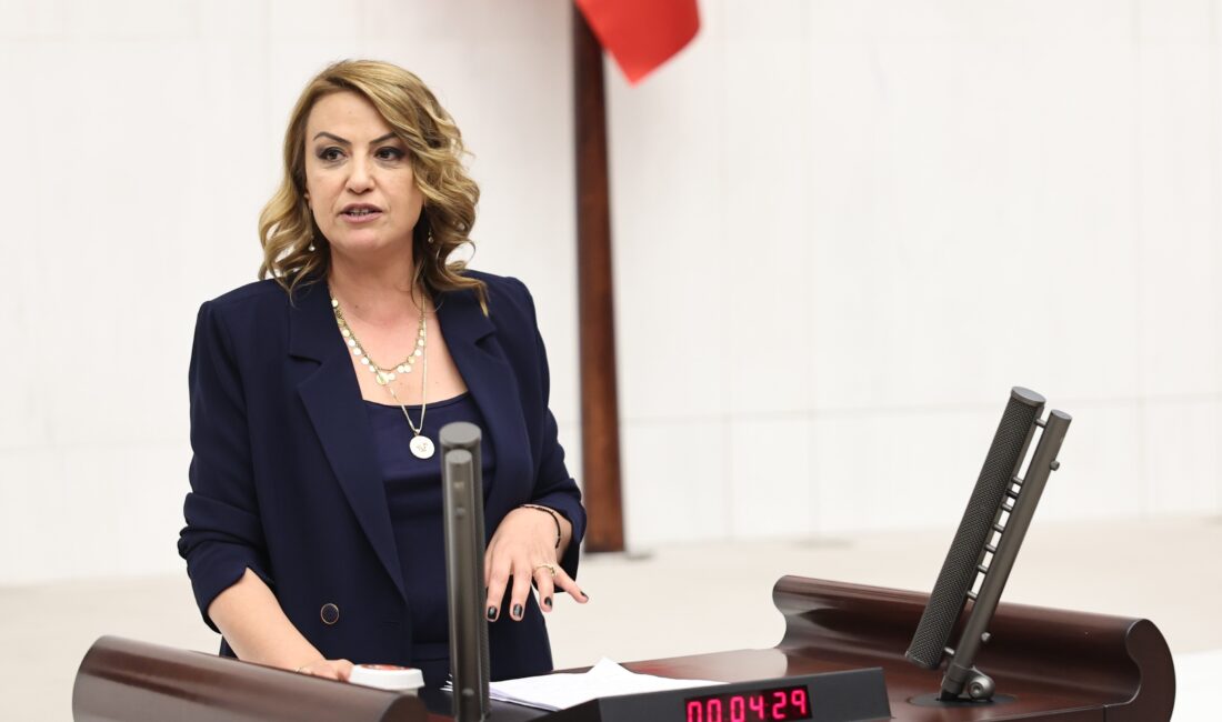 Cumhuriyet Halk Partisi Hatay Milletvekili ve katip üye Nermin Yıldırım