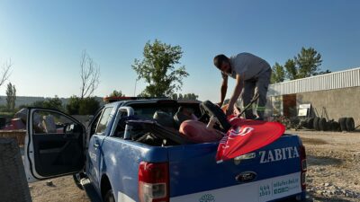 Nilüfer Belediyesi zabıta ekipleri, Görükle, Dumlupınar, Balkan, Kurtuluş ve Kızılcıklı