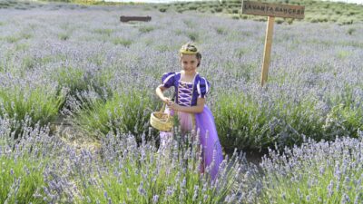 Ankara Büyükşehir Belediyesi, Başkentlilerin aileleriyle birlikte keyifli vakit geçirdiği çocuk