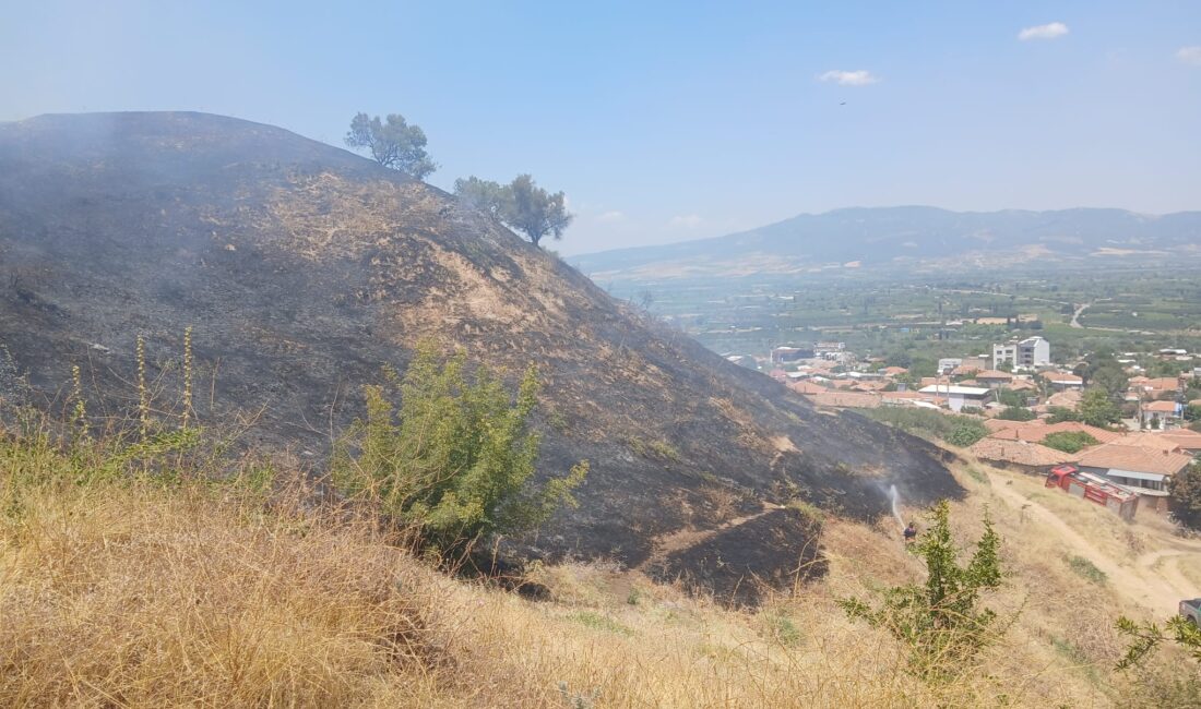 Manisa’nın Turgutlu ilçesi Derbent Mahallesi’nde yerleşim yerlerine yakın bölgede çıkan