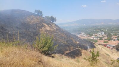 Turgutlu Derbent’teki Yangın Büyümeden Söndürüldü Manisa’nın Turgutlu ilçesi Derbent Mahallesi’nde yerleşim yerlerine yakın bölgede çıkan