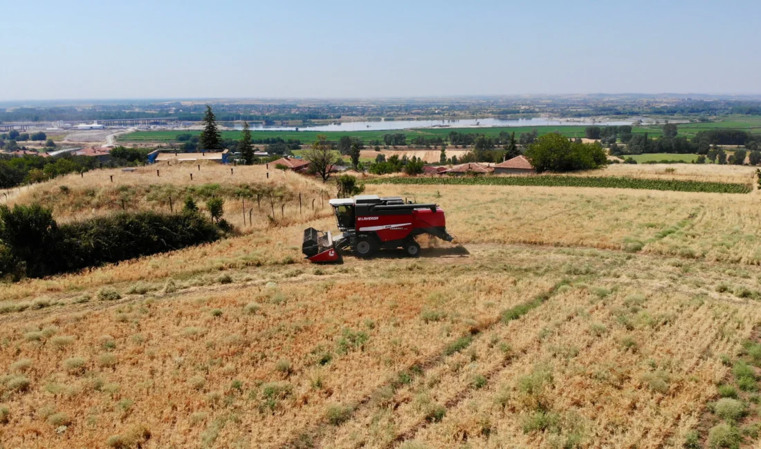 Edirne Belediyesi, tarımsal üretim faaliyetleri kapsamında Yıldırım Mahallesi Hıdırlık Mevkii’nde