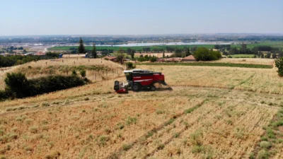 EDİRNE BELEDİYESİ NOHUT HASADINI GERÇEKLEŞTİRDİ Edirne Belediyesi, tarımsal üretim faaliyetleri kapsamında Yıldırım Mahallesi Hıdırlık Mevkii’nde