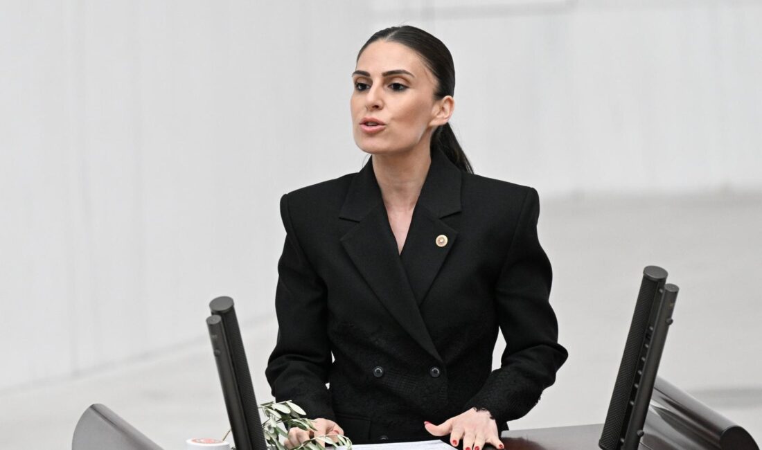 Muğla Milletvekili Avukat Gizem Özcan, zeytinlik alanlarda madencilik faaliyetlerinin önünü