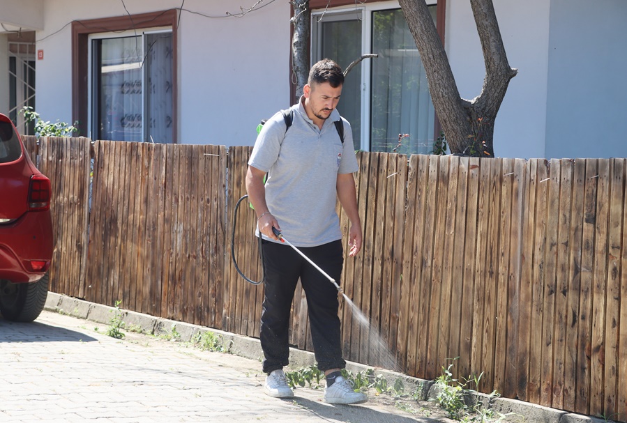 Yalova Belediyesi Temizlik İşleri Müdürlüğü’ne bağlı Park ve Bahçeler Birimi