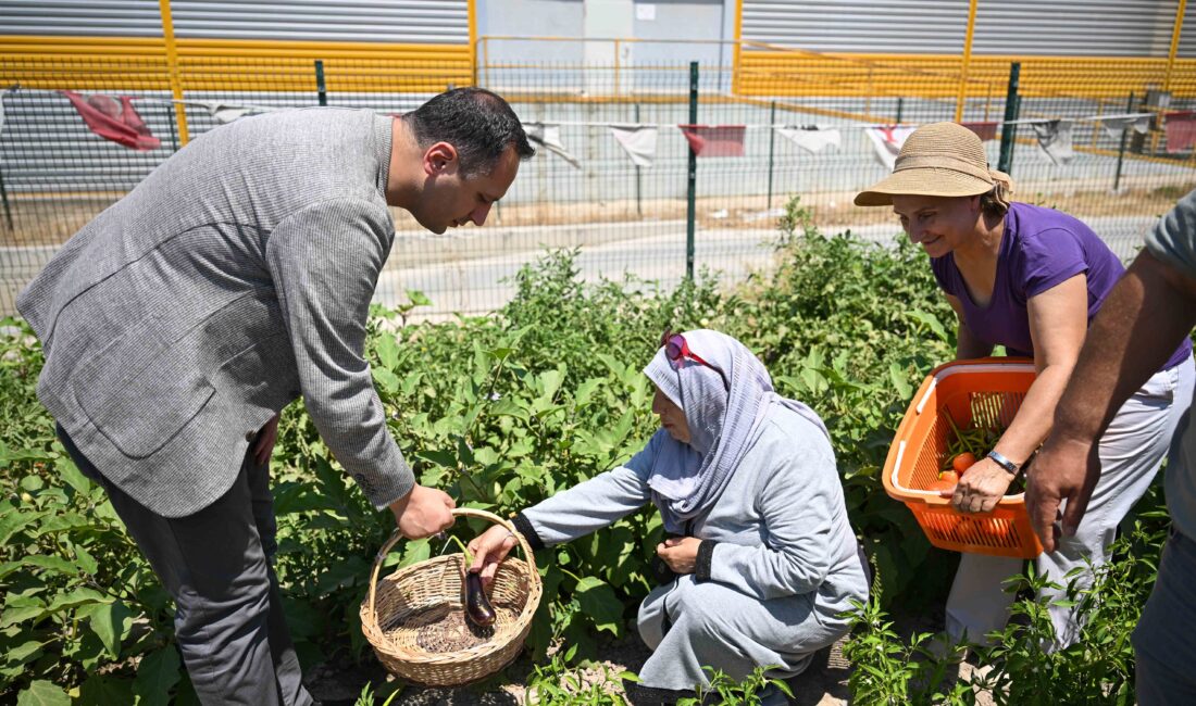 Bornova Belediyesi, kent içinde sürdürülebilir tarımı teşvik eden, kadınlara ekonomik