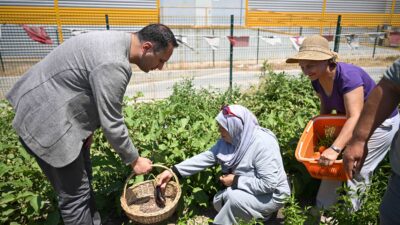 Bornova’nın Kalbinde Yeşeren Umut Bornova Belediyesi, kent içinde sürdürülebilir tarımı teşvik eden, kadınlara ekonomik
