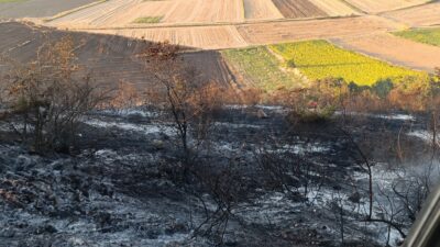 Karacabey Belediyesi felaketi önledi Karacabey’in Çavuş Mahallesi’ndeki ormanlık alanda çıkan ve yaklaşık 500 dönümlük