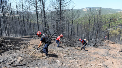 Osmangazi Belediyesi, Bursa’daki orman yangınlarına karşı mücadelesini aralıksız sürdürüyor. Termal