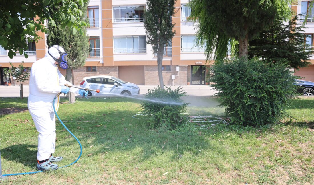 Yaz aylarının gelmesiyle birlikte kene vakalarında yaşanan artış, vatandaşlar arasında
