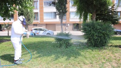 Odunpazarı Belediyesi’nden Kene Tehlikesine Karşı Etkili Mücadele Yaz aylarının gelmesiyle birlikte kene vakalarında yaşanan artış, vatandaşlar arasında