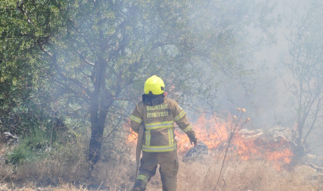 Balıkesir İtfaiyesi bölgedeki yangınları söndürmek için seferber oldu.