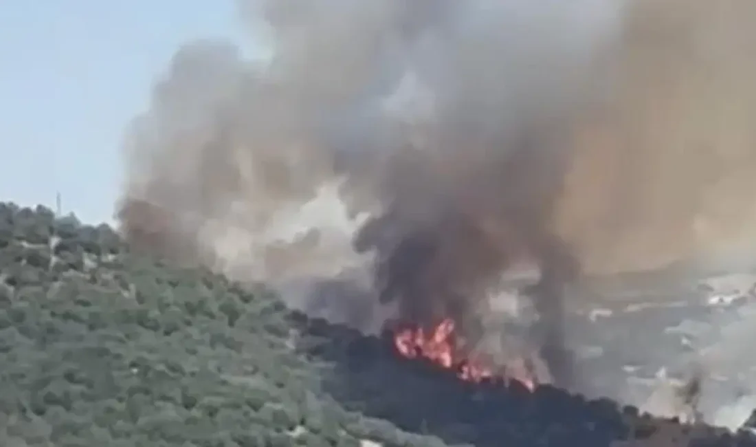 Balıkesir'in Savaştepe ilçesine bağlı Akpınar Mahallesi'nde ormanlık alanda yangın çıktı.