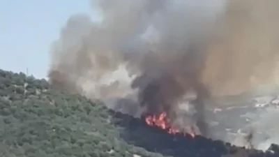 Balıkesir'in Savaştepe ilçesine bağlı Akpınar Mahallesi'nde ormanlık alanda yangın çıktı.