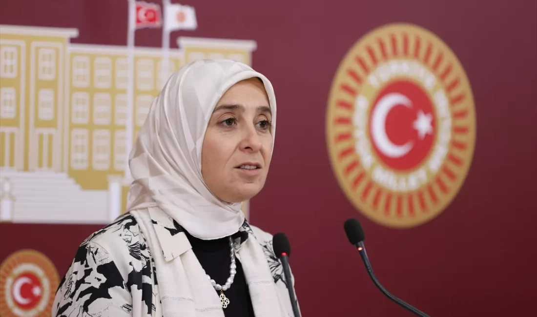 DEVA Partisi Genel Başkan Yardımcısı ve İstanbul Milletvekili Elif Esen,