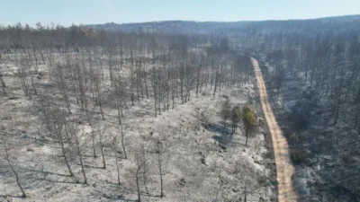 Buca’daki yangının tahribatı havadan görüntülendi İzmir'in Buca ilçesinde dün başlayan orman yangınına müdahale devam ediyor.