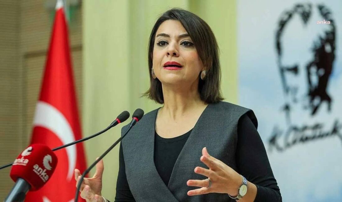 Cumhuriyet Halk Partisi Genel Başkan Yardımcısı ve Emek Büroları Koordinatörü