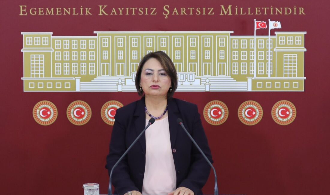 Cumhuriyet Halk Partisi (CHP) Adana Milletvekili, TBMM Başkanlık Divanı Üyesi
