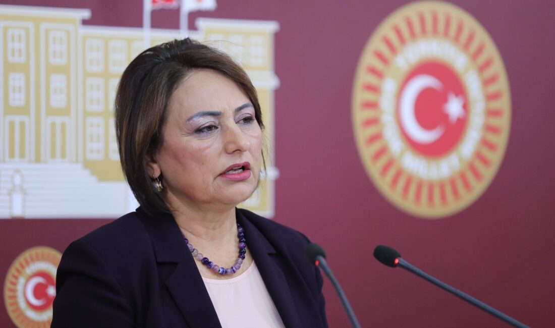 Cumhuriyet Halk Partisi (CHP) Adana Milletvekili, TBMM Başkanlık Divanı Üyesi