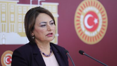 Cumhuriyet Halk Partisi (CHP) Adana Milletvekili, TBMM Başkanlık Divanı Üyesi