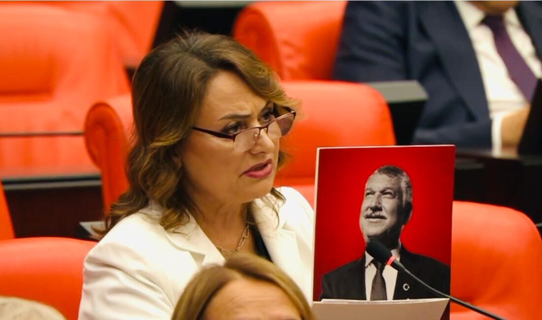 Cumhuriyet Halk Partisi (CHP) Adana Milletvekili, TBMM Başkanlık Divanı Üyesi