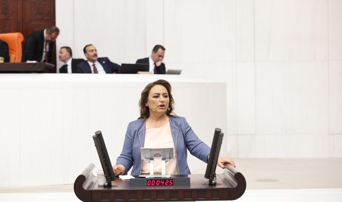 Cumhuriyet Halk Partisi (CHP) Adana Milletvekili, TBMM Başkanlık Divanı Üyesi