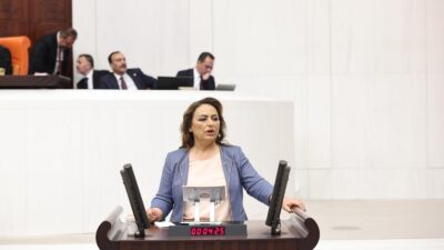 En Pahalı 1 Ton Kömür 9.400 TL, En Ucuz 1 Ton Zeytin 200 Bin TL Cumhuriyet Halk Partisi (CHP) Adana Milletvekili, TBMM Başkanlık Divanı Üyesi