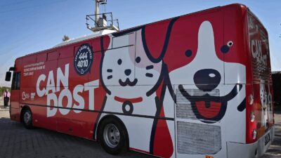 Sokaktaki Canlar “Can Dost”la Emin Ellerde Balıkesir Büyükşehir Belediyesi’nin mobil hayvan bakım ve tedavi aracı olan