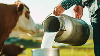 DEVA Partisi Genel Başkan Yardımcısı ve İstanbul Milletvekili Hasan Karal,